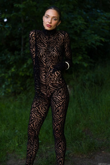 Santa In Bodystocking 6